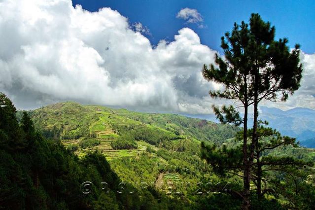 Halsema Highway
Montagnes
Mots-clés: Asie;Philippines;Luzon;Mountain Province