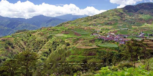 Halsema Highway
Village  flanc de colline
Mots-clés: Asie;Philippines;Luzon;Mountain Province