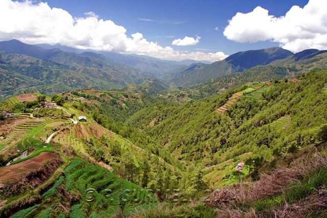 Halsema Highway
Les montagnes
Mots-clés: Asie;Philippines;Luzon;Mountain Province