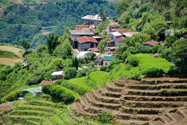 Halsema Highway
Village  flanc de colline
Mots-clés: Asie;Philippines;Luzon;Mountain Province