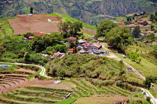 Halsema Highway
Champs en terrasse
Mots-clés: Asie;Philippines;Luzon;Mountain Province