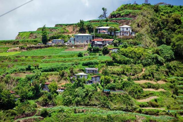 Halsema Highway
Village  flanc de colline
Mots-clés: Asie;Philippines;Luzon;Mountain Province