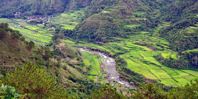 Halsema Highway
Valle et rizires
Mots-clés: Asie;Philippines;Luzon;Mountain Province;rizire
