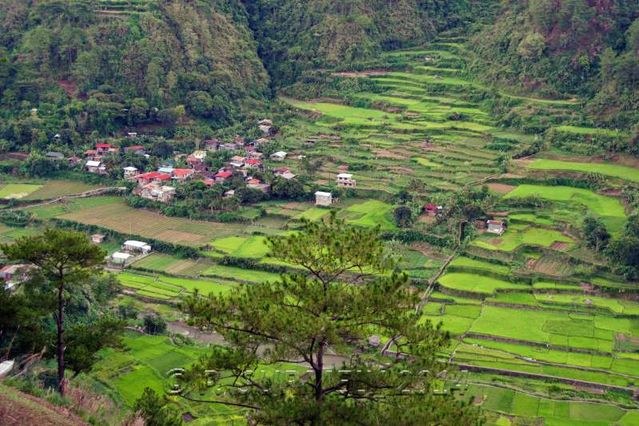 Halsema Highway
Village
Mots-clés: Asie;Philippines;Luzon;Mountain Province