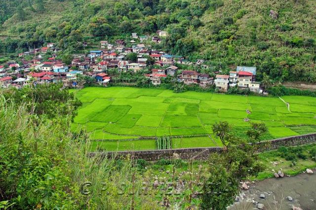 Halsema Highway
Village 
Mots-clés: Asie;Philippines;Luzon;Mountain Province
