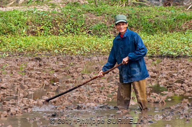 Travail dans la rizire
Mots-clés: Asie;Vietnam;HoaLu