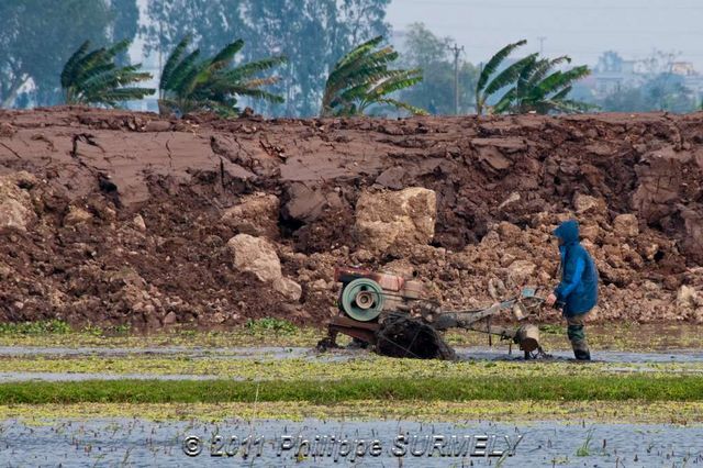 Travail dans la rizire
Mots-clés: Asie;Vietnam;HoaLu