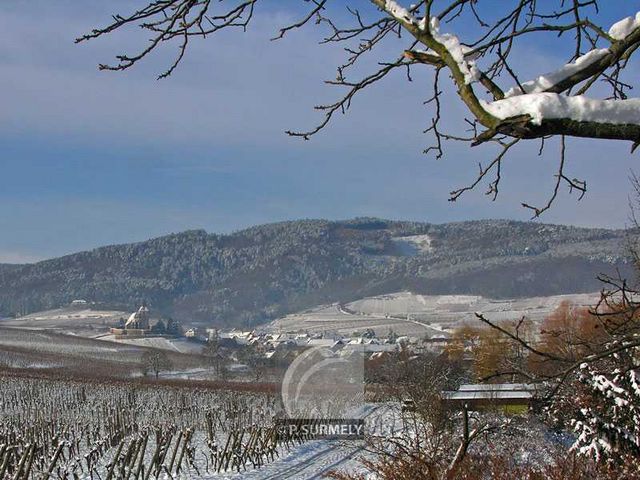 Hunawihr
Mots-clés: France;Europe;Alsace;Hunawihr;neige