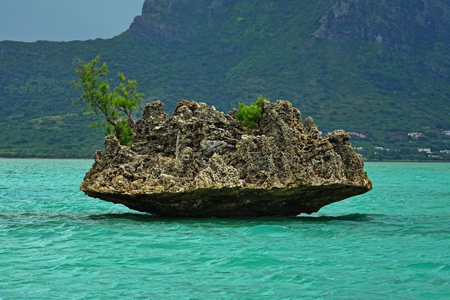 Crystal Rock prs de l'Ile aux Bnitiers
Mots-clés: Afrique;Ocan Indien;Ile Maurice;Maurice;Ile aux Bnitiers