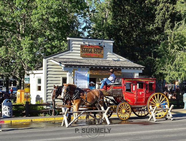 Jackson Hole
Mots-clés: Amérique;Etats-Unis;USA;Wyoming;Grand Teton National Park;parc national;Jackson Hole