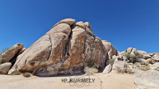 Joshua Tree National Park
Mots-clés: Amérique;Amérique du Nord;Etats-Unis;USA;Californie;Joshua Tree National Park;parc national