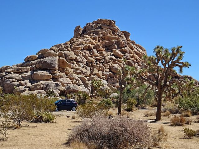 Joshua Tree National Park
Mots-clés: Amérique;Amérique du Nord;Etats-Unis;USA;Californie;Joshua Tree National Park;parc national