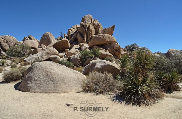 Joshua Tree National Park
Mots-clés: Amérique;Amérique du Nord;Etats-Unis;USA;Californie;Joshua Tree National Park;parc national