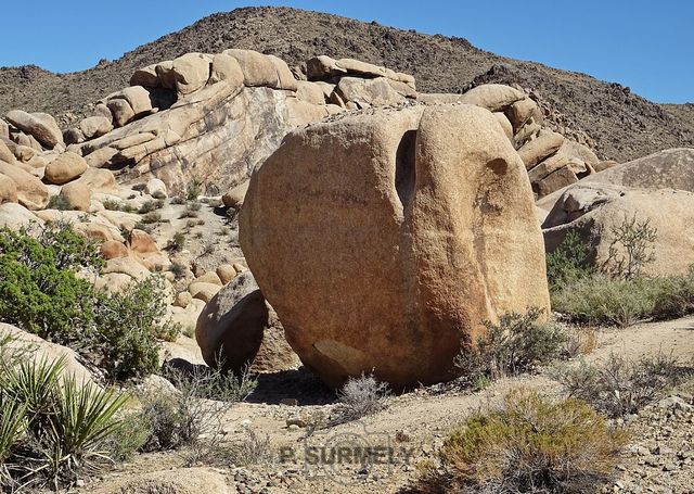 Joshua Tree National Park
Mots-clés: Amérique;Amérique du Nord;Etats-Unis;USA;Californie;Joshua Tree National Park;parc national