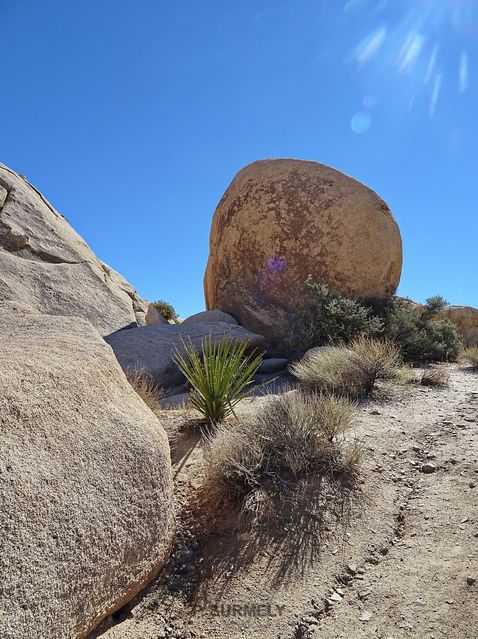 Joshua Tree National Park
Mots-clés: Amérique;Amérique du Nord;Etats-Unis;USA;Californie;Joshua Tree National Park;parc national