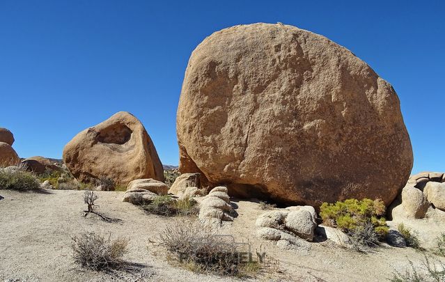 Joshua Tree National Park
Mots-clés: Amérique;Amérique du Nord;Etats-Unis;USA;Californie;Joshua Tree National Park;parc national