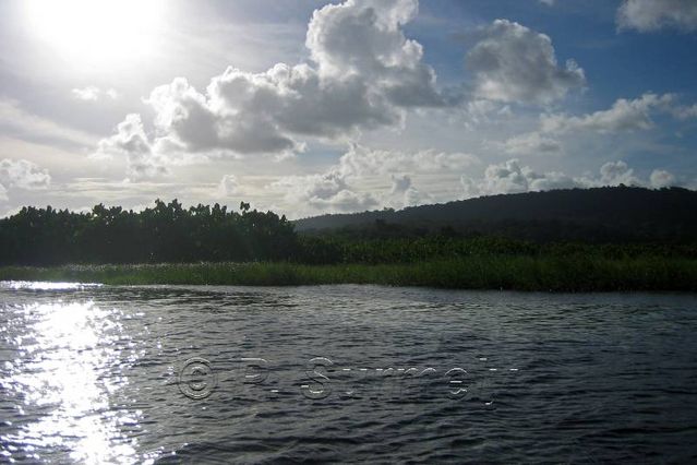 La Marais de Kaw
Mots-clés: Guyane;Amrique;marais;Kaw