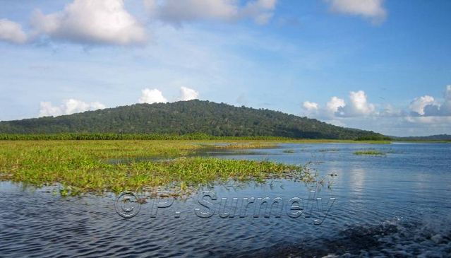 La Marais de Kaw
Mots-clés: Guyane;Amrique;marais;Kaw