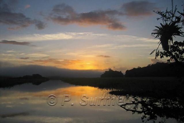 La Marais de Kaw
Mots-clés: Guyane;Amrique;marais;Kaw