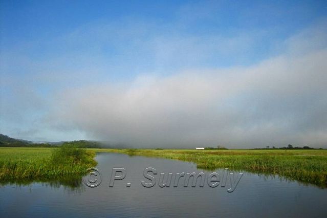 La Marais de Kaw
Mots-clés: Guyane;Amrique;marais;Kaw