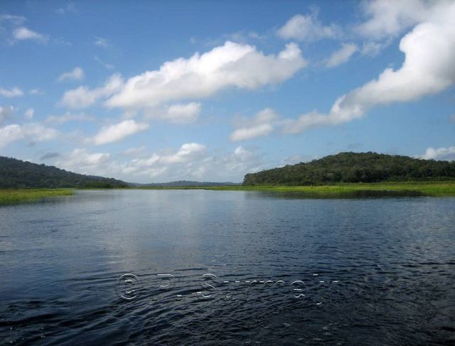 Le Marais de Kaw
Mots-clés: Guyane;Amrique;marais;Kaw