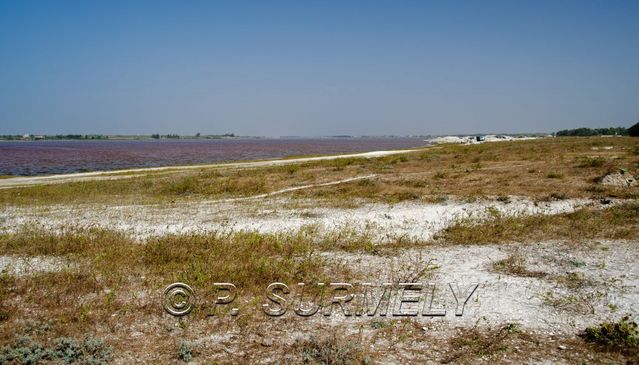 Lac Rose
Mots-clés: Afrique;Sngal;Lac Rose