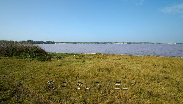 Lac Rose
Mots-clés: Afrique;Sngal;Lac Rose