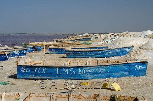 Lac Rose
Mots-clés: Afrique;Sngal;Lac Rose;sel