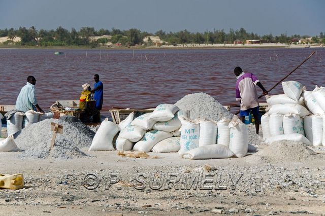 Lac Rose
Mots-clés: Afrique;Sngal;Lac Rose;sel