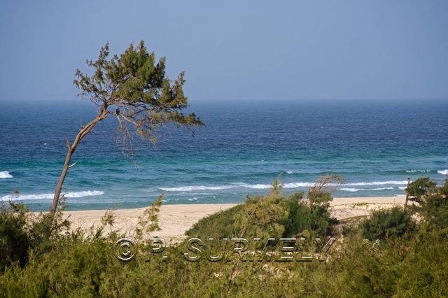 Plage  heuteur du Lac Rose
Mots-clés: Afrique;Sngal;Lac Rose;Atlantique;plage