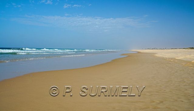 Plage  heuteur du Lac Rose
Mots-clés: Afrique;Sngal;Lac Rose;Atlantique;plage