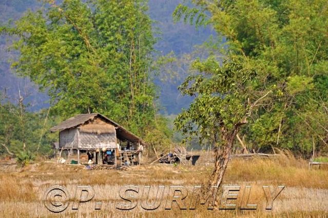 au long de la route 12
Mots-clés: Laos;Asie;Thakhek