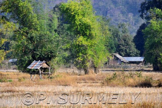 au long de la route 12
Mots-clés: Laos;Asie;Thakhek