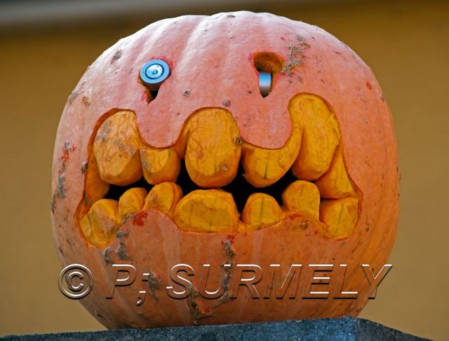 Portrait
Fte du Potiron 2011  Logelheim
Mots-clés: Potiron;citrouille;potimaron;Logelheim;Alsace;France;Halloween