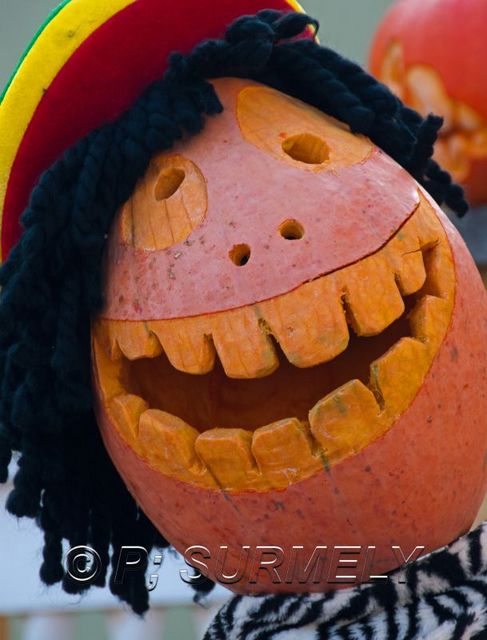 Rasta
Fte du Potiron 2011  Logelheim
Mots-clés: Potiron;citrouille;potimaron;Logelheim;Alsace;France;Halloween