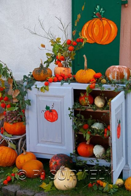 Buffet
Fte du Potiron 2011  Logelheim
Mots-clés: Potiron;citrouille;potimaron;Logelheim;Alsace;France;Halloween