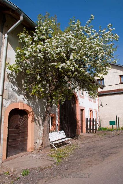 Mandray
Maison
Mots-clés: Europe;France;Vosges;Mandray