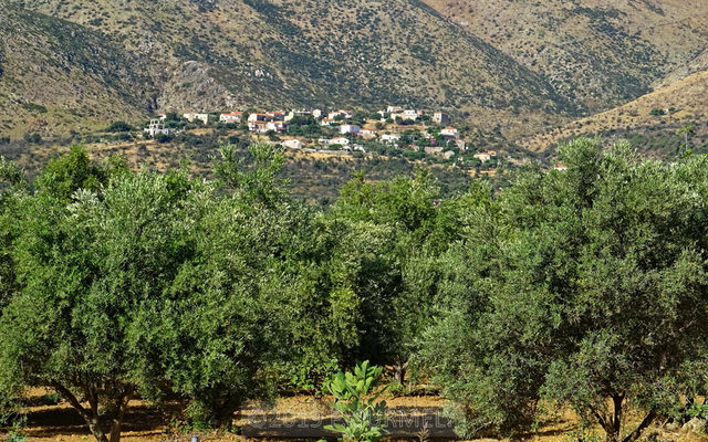 Mavrovouni
Village non loin de Mavrovouni.
Mots-clés: Europe;Grce;Ploponnse;Magne;Mavrovouni