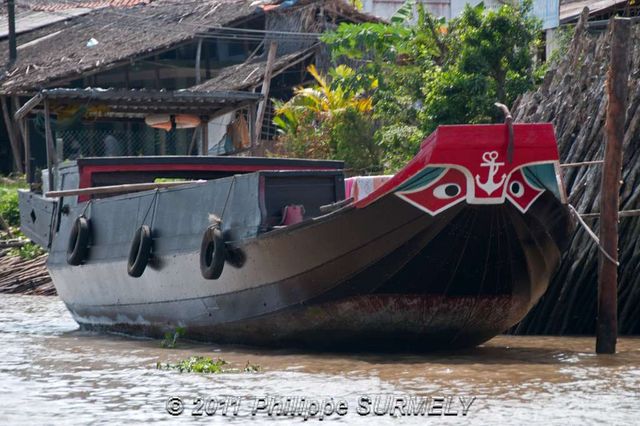 Dans un bras du Mkong
Mots-clés: Asie;Vietnam;Mkong