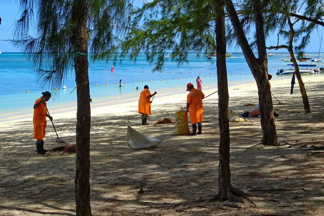 Nettoyage de la plage  Mon Choisy
Mots-clés: Afrique;Ocan Indien;Ile Maurice;Maurice;Mon Choisy