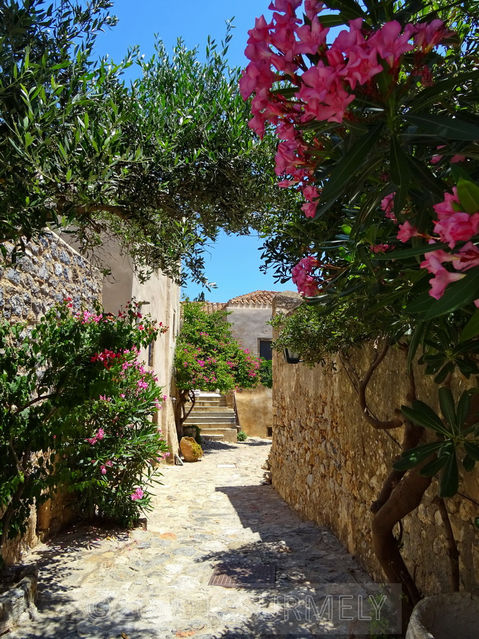 Monemvasia
Une ruelle
Mots-clés: Europe;Grce;Ploponnse;Monemvasia