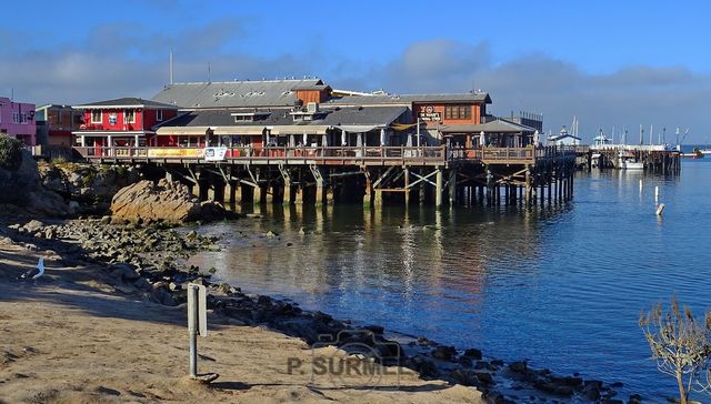 Monterey
Mots-clés: Amérique;Amérique du Nord;Etats-Unis;USA;Californie;Pacifique;Monterey