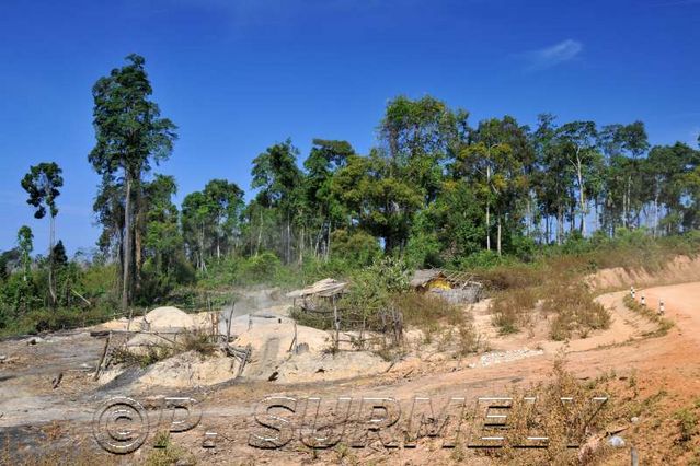 Site de fabrication de charbon de bois
Le long de la retenue de Nam Theun II
Mots-clés: Laos;Asie;Nakai;Nam Theun