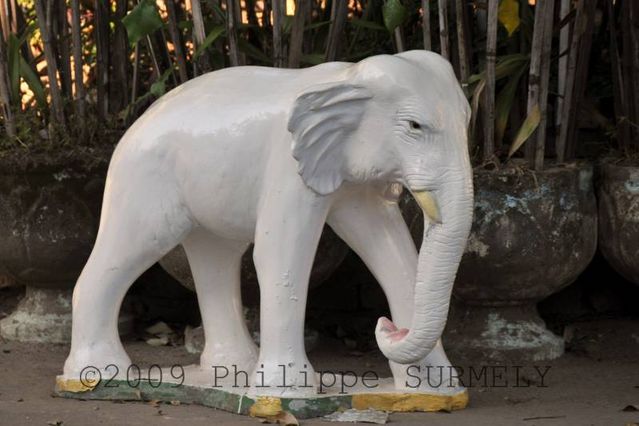 Nakhon Phanom
Keywords: Tha�lande;Asie;Nakhon Phanom;�glise;statue