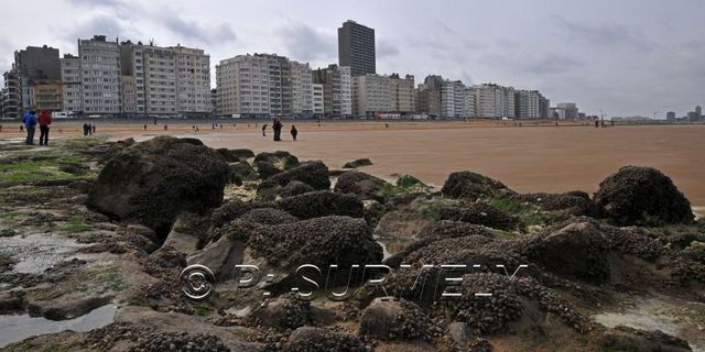 Ostende
Front de mer
Mots-clés: Europe;Belgique;Ostende