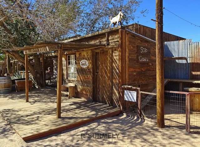 Pioneertown
Mots-clés: Amérique;Amérique du Nord;Etats-Unis;USA;Californie;Pioneertown;cinema