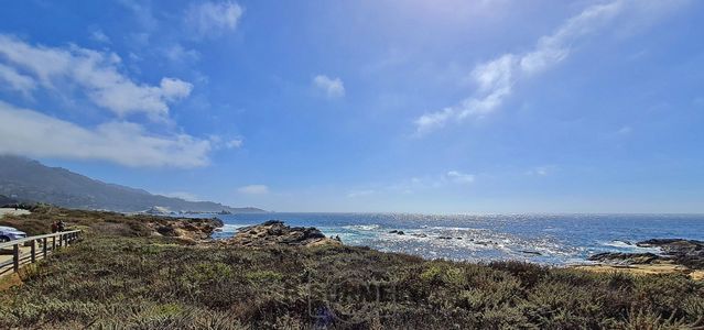 Point Lobos
Mots-clés: Amérique;Amérique du Nord;Etats-Unis;USA;Californie;Point Lobos State Reserve;réserve naturelle