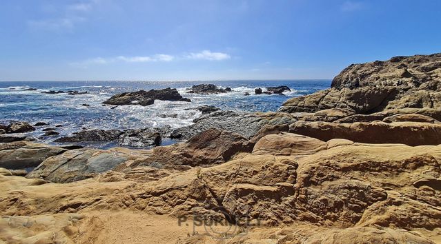 Point Lobos
Mots-clés: Amérique;Amérique du Nord;Etats-Unis;USA;Californie;Point Lobos State Reserve;réserve naturelle