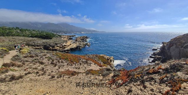 Point Lobos
Mots-clés: Amérique;Amérique du Nord;Etats-Unis;USA;Californie;Point Lobos State Reserve;réserve naturelle