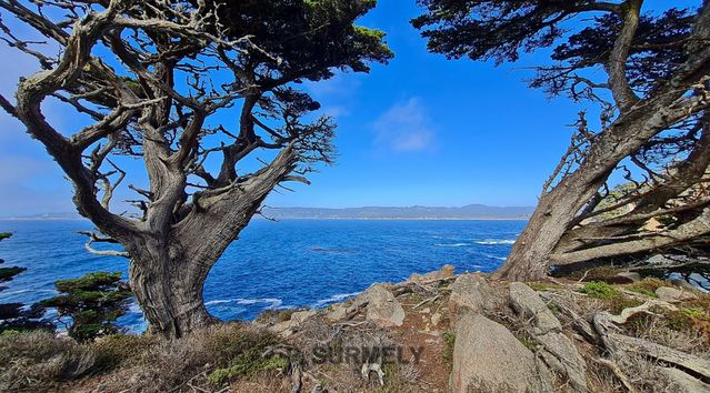 Point Lobos
Mots-clés: Amérique;Amérique du Nord;Etats-Unis;USA;Californie;Point Lobos State Reserve;réserve naturelle